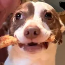 goongoonsly