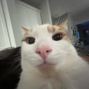 apgrob