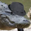 hewasagatorboy13
