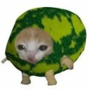 avatar MikeTheFatMan