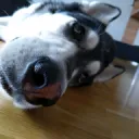 yokuspokus