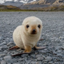 avatar рыбачок