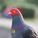 golobii