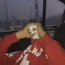 tyloxtj