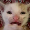 lumnaa