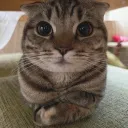 benbenbes