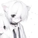 kitsunemrplant
