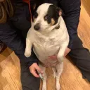 ygmrht