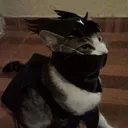 loukanton