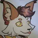 kiyo_catto