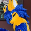 nikohasnolife