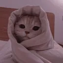 zoeneh