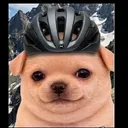 vnemsi