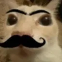 moanlissa