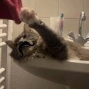 avatar Manny🇩🇿