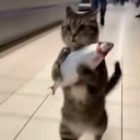 avatar Manny🇩🇿