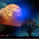 brightmoon1660