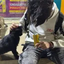 moumynoo