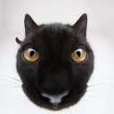 avatar bliud .-𝟙 †