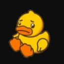 duckysolucky