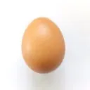 egg7108