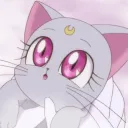amber_exp