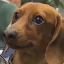 interestingfart