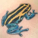 spinfrog