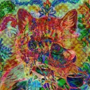 kittytac