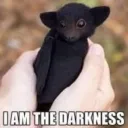thebonnylads