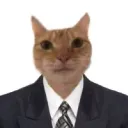 sir.lem
