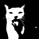 knexu avatar