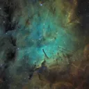 oraxdorion