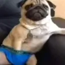 carlitos2017pro avatar