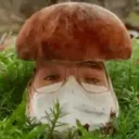 spryrix