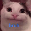 goxeasy#2887's avatar