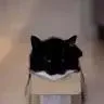 libcf