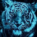 a_pavel