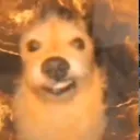 xturbo