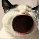 monalisuhh