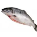 lesaumon