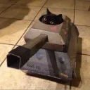 cat_in_atank avatar