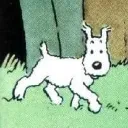 physecks