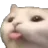 leon_non