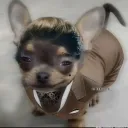 deivgmz25
