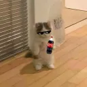 jayiiful