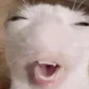 laykoi