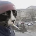 fkmelo
