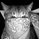 View chuckmiadart's Profile