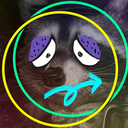 aurin_raccoon